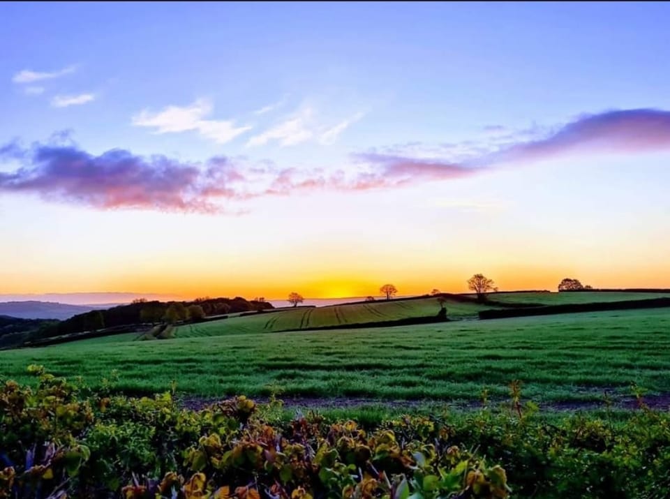 Stay in Ullacombe Farmhouse and Barn in Dartmoor, Newton Abbot, Devon 